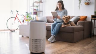 Best air purifiers for allergies