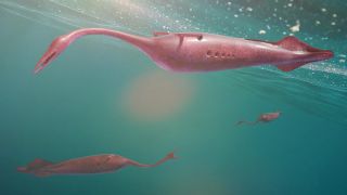 Three tully monsters swimming in an ancient sea